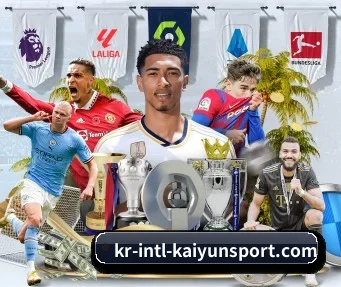 开云 APP - kaiyun esports